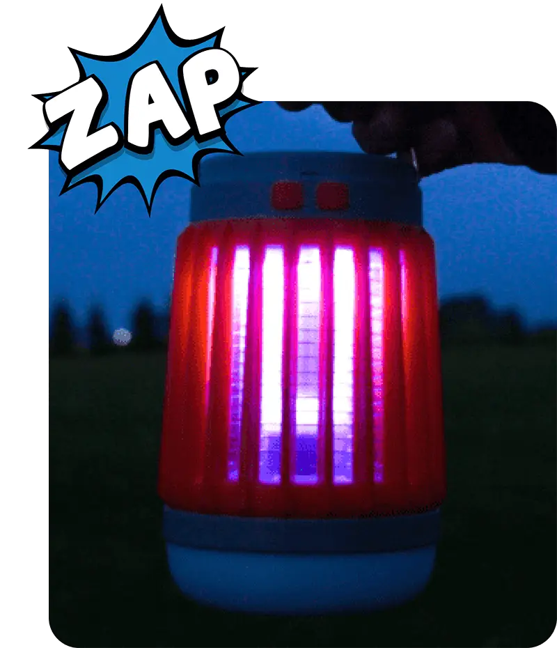 Zap Guardian Review